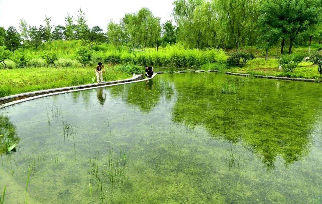 通州降雨已达暴雨级别！应对强降雨，TA们在行动——