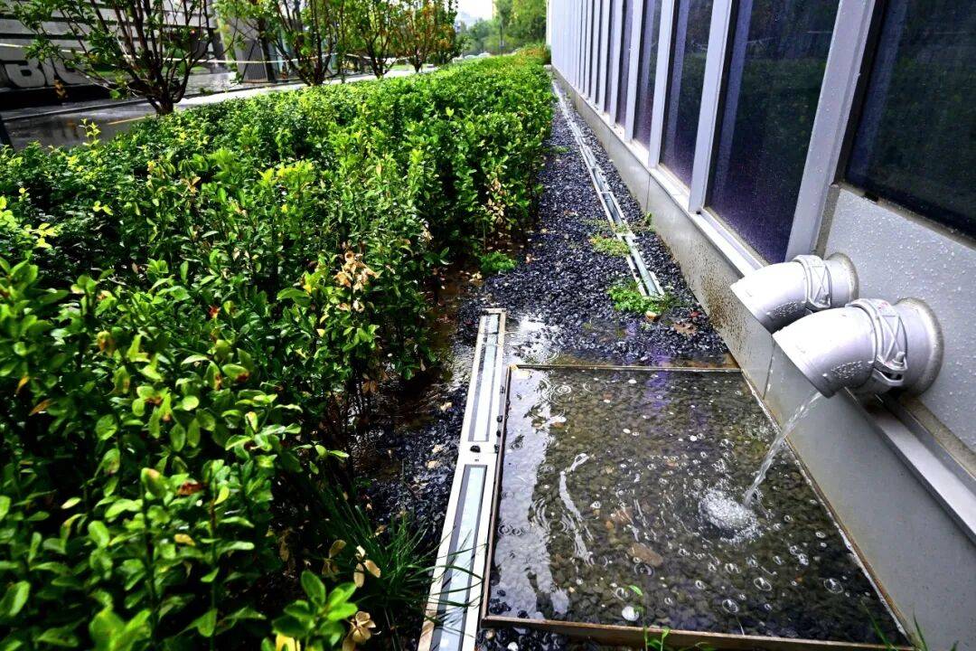 通州降雨已达暴雨级别！应对强降雨，TA们在行动——