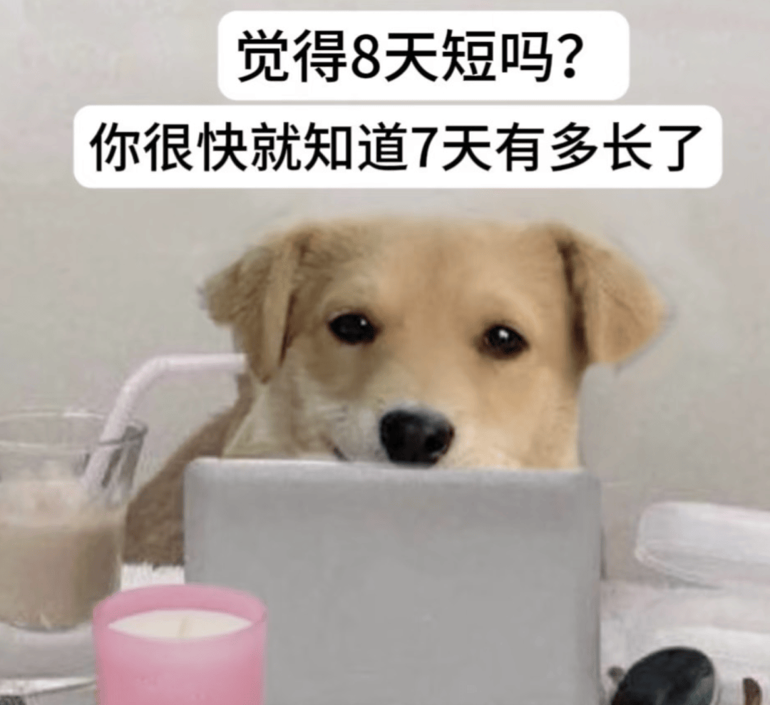 假期后戒断反应：身体上班，灵魂请假