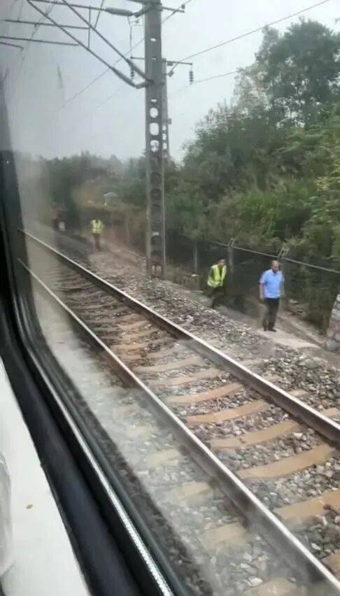 湖北一列车撞上野猪致停运，铁路局：野猪已无害化处理，列车正常运行；附近曾发生多起野猪伤人事件